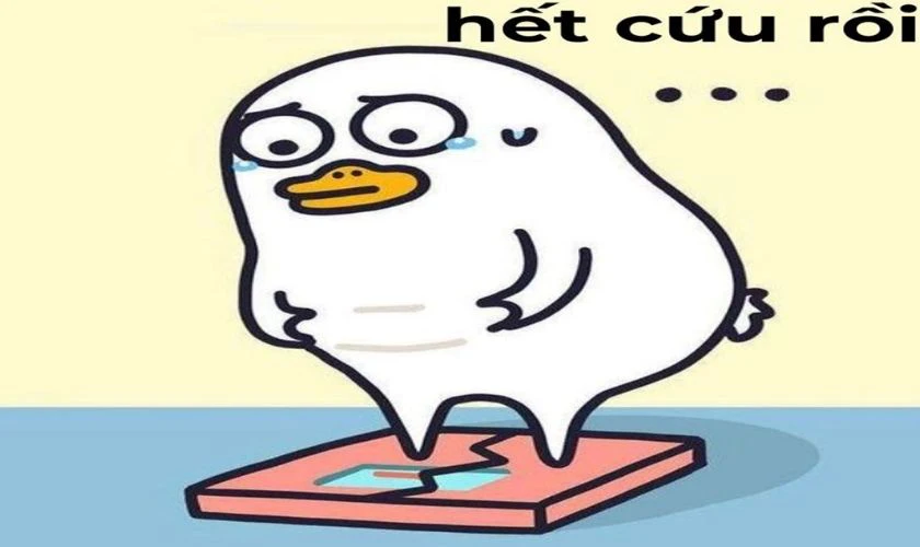 Ảnh meme hết cứu vui nhộn, độc đáo, đẹp nhất 2025