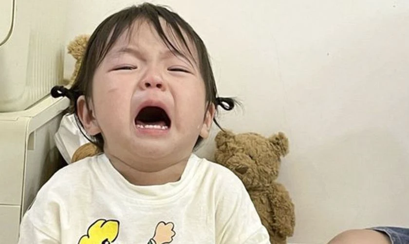 Ảnh meme khóc, meme tâm trạng nhất 2025