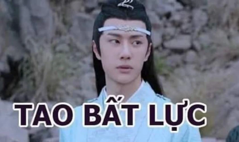 Ảnh meme bất lực, mệt mỏi