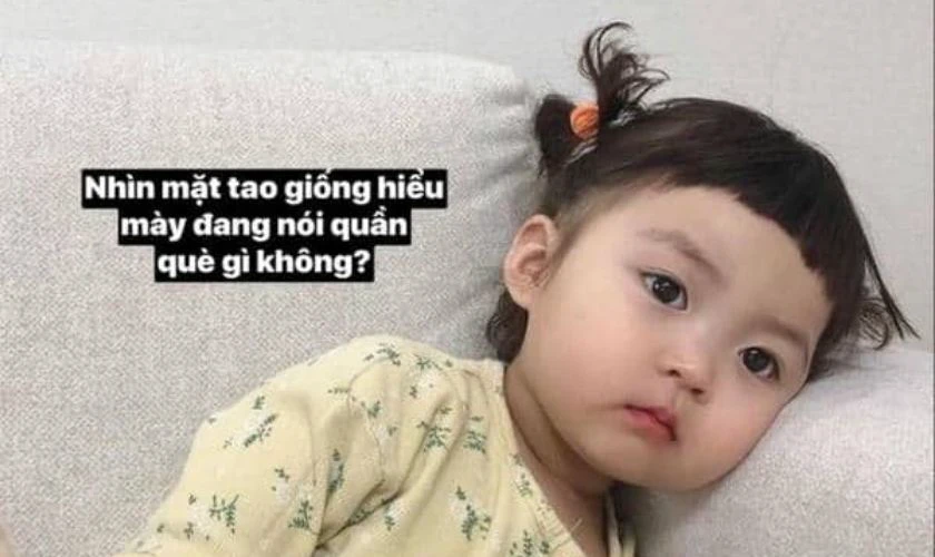 Ảnh meme bất lực, mệt mỏi nhất