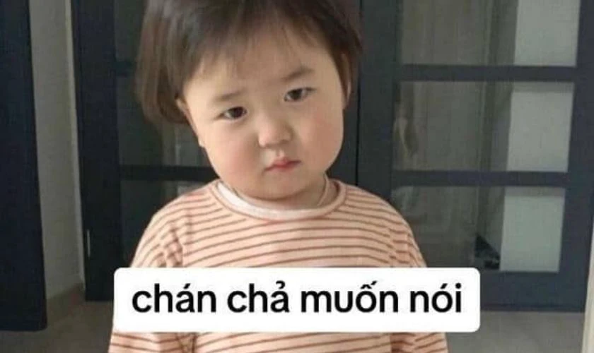 Hình ảnh meme bất lực, mệt mỏi