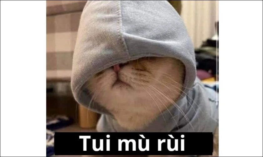 Hình ảnh meme bất lực 2025