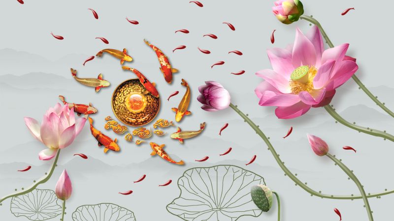 hình nền cá chép hoa sen