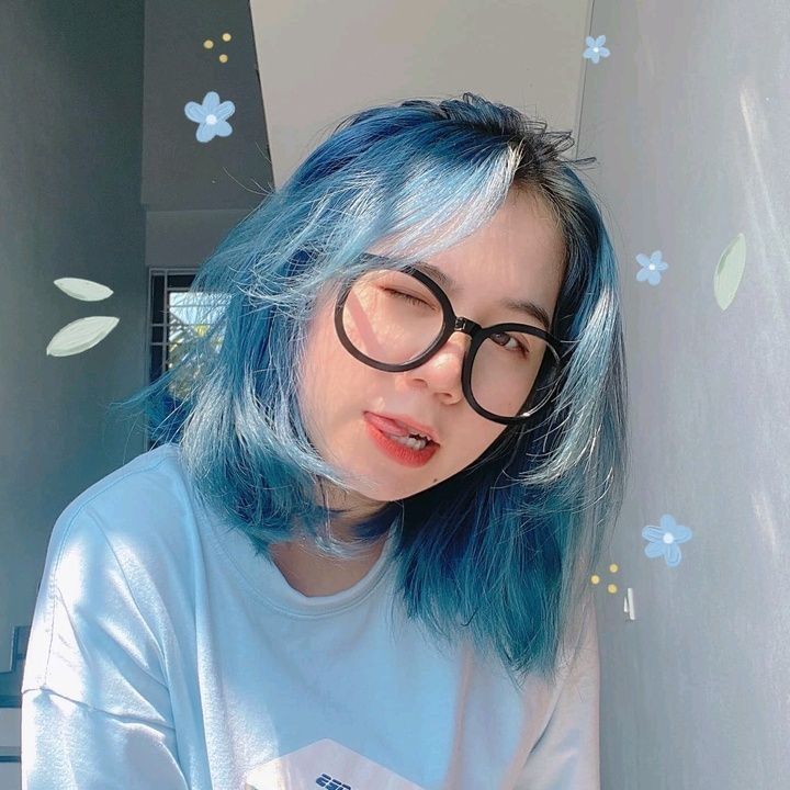 Tải ảnh Mèo Simmy