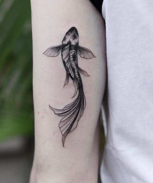 hình xăm cá chép đơn giản ít tiền