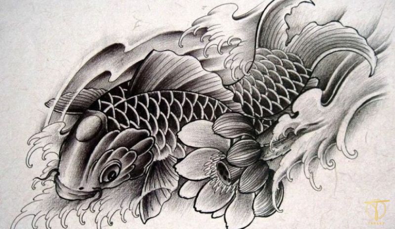 ý nghĩa xăm cá chép hoa sen