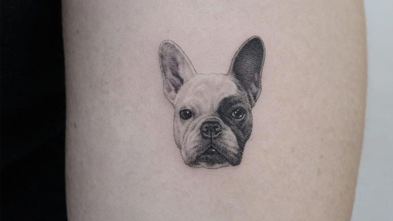 Xăm hình con chó giá bao nhiêu?