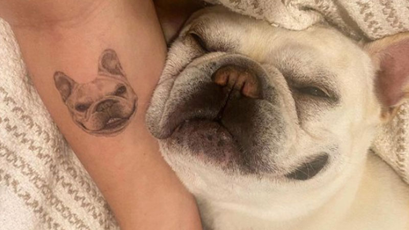 Khám phá ý nghĩa hình xăm con chó và 40+ hình xăm con chó đẹp nhất.