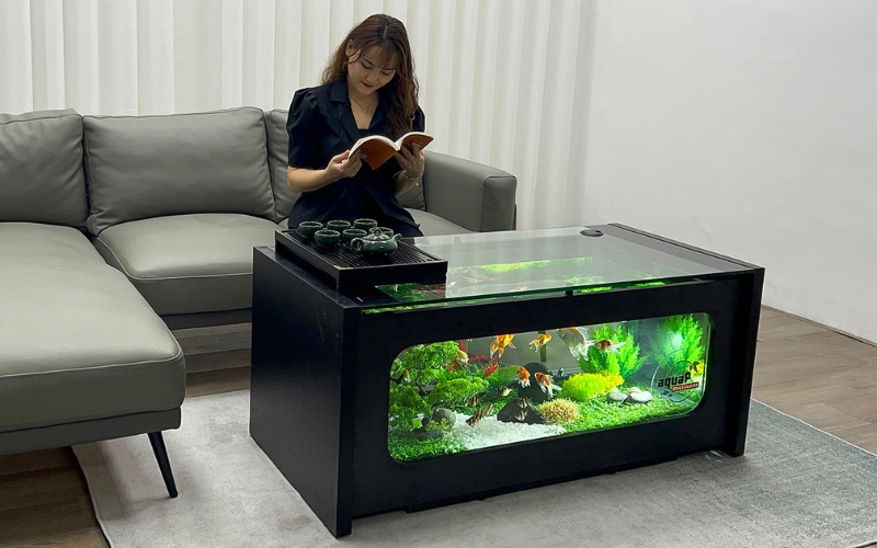 Bể Cá Cảnh Đa Năng cung cấp bàn trà bể cá AquaP độc đáo