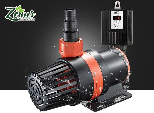Lựa chọn máy bơm cho bể cá koi ngoài trời