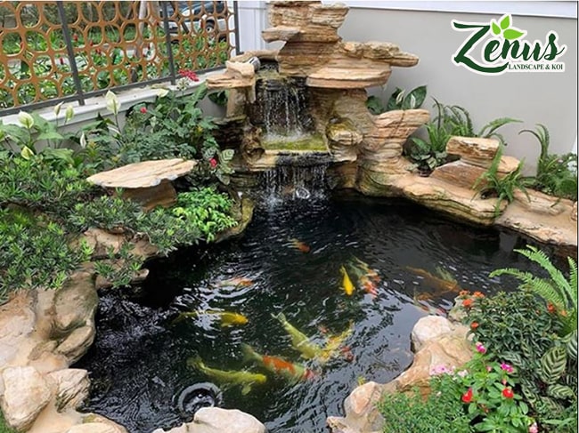 Thi công bể cá koi ngoài trời phong thủy