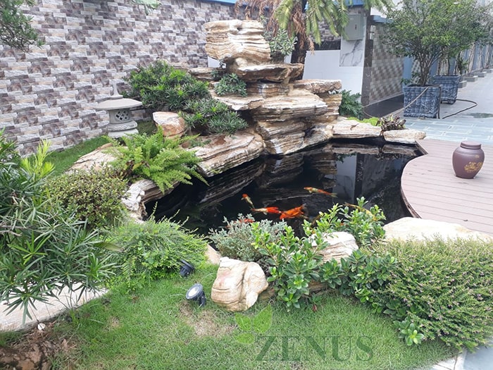 Thi công bể cá koi công nghệ lọc vi sinh