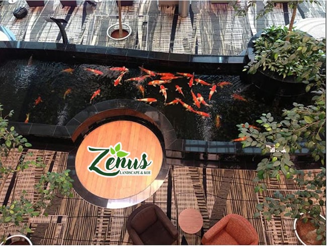 Kỹ thuật thi công hồ cá koi ngoài trời đẹp