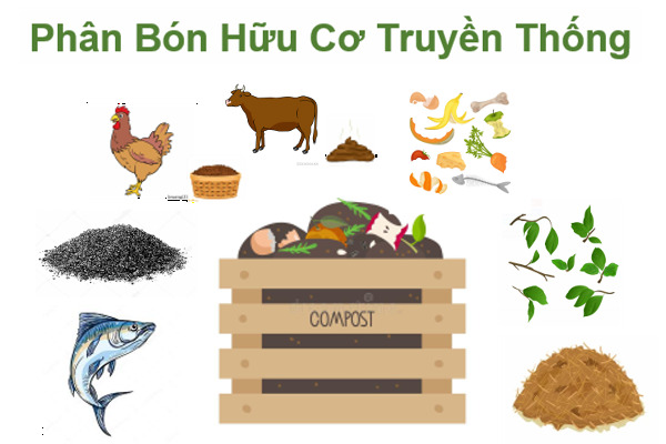 Phân hữu Cơ Tảo Biển Nâu Nauy