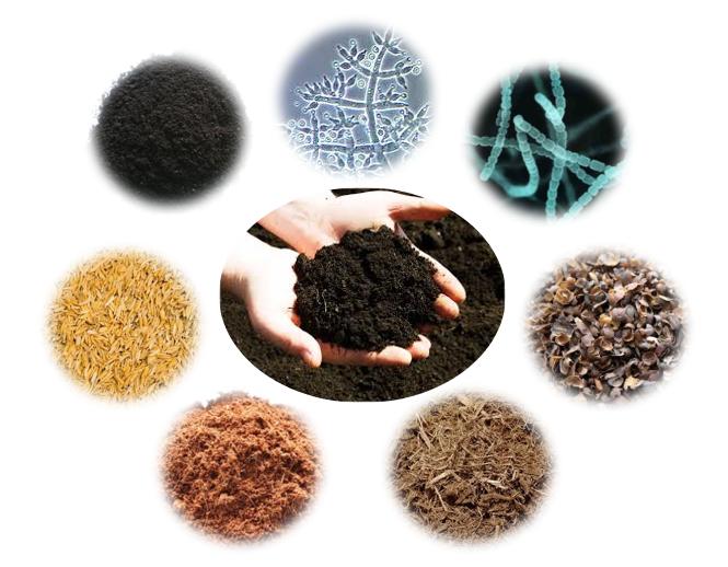 Phân bón hữu cơ - Icorp