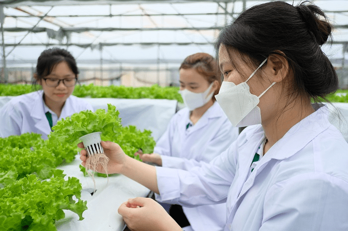 Kỹ sư nông nghiệp là gì? Mô tả công việc kỹ sư nông nghiệp chi tiết