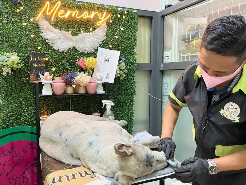 linh hồn của chó sau khi chết