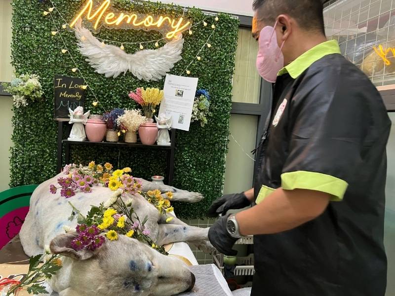 kiếp chó sau khi chết