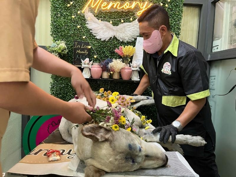 Linh Hồn Của Chó Sau Khi Chết: Chó Có Được Đầu Thai Không?