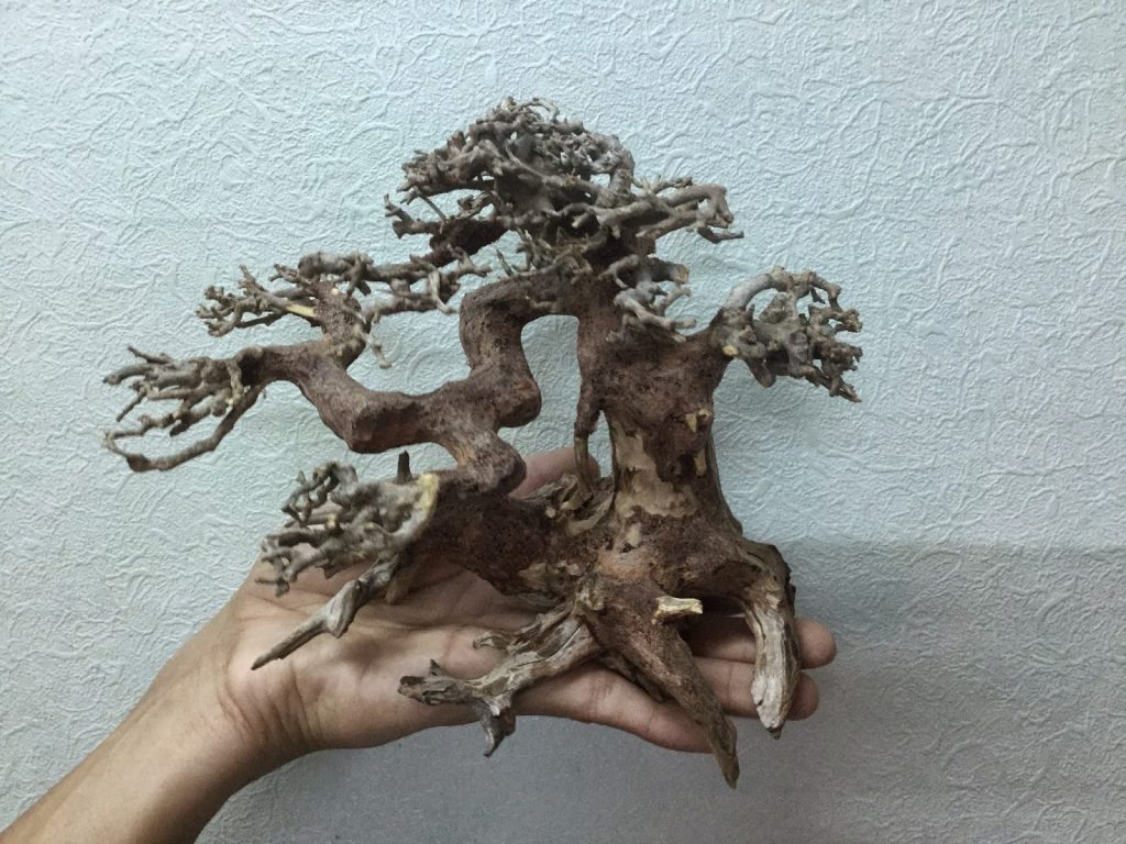 Cách làm sạch gỗ lũa an toàn 3