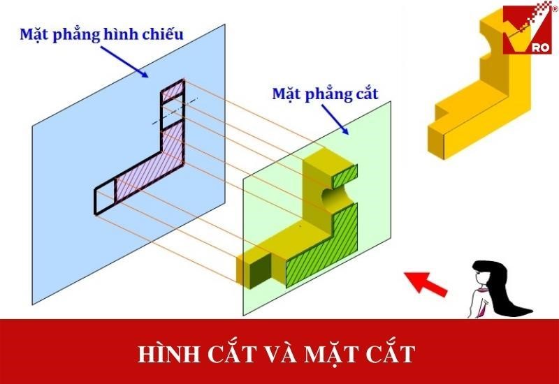 Hình cắt và mặt cắt là gì? Ứng dụng trong cuộc sống