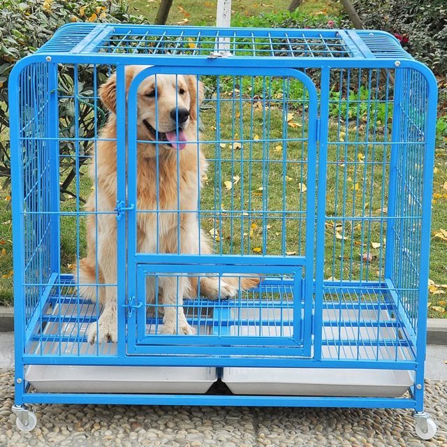 Chuồng chó bằng sắt S95 giá rẻ