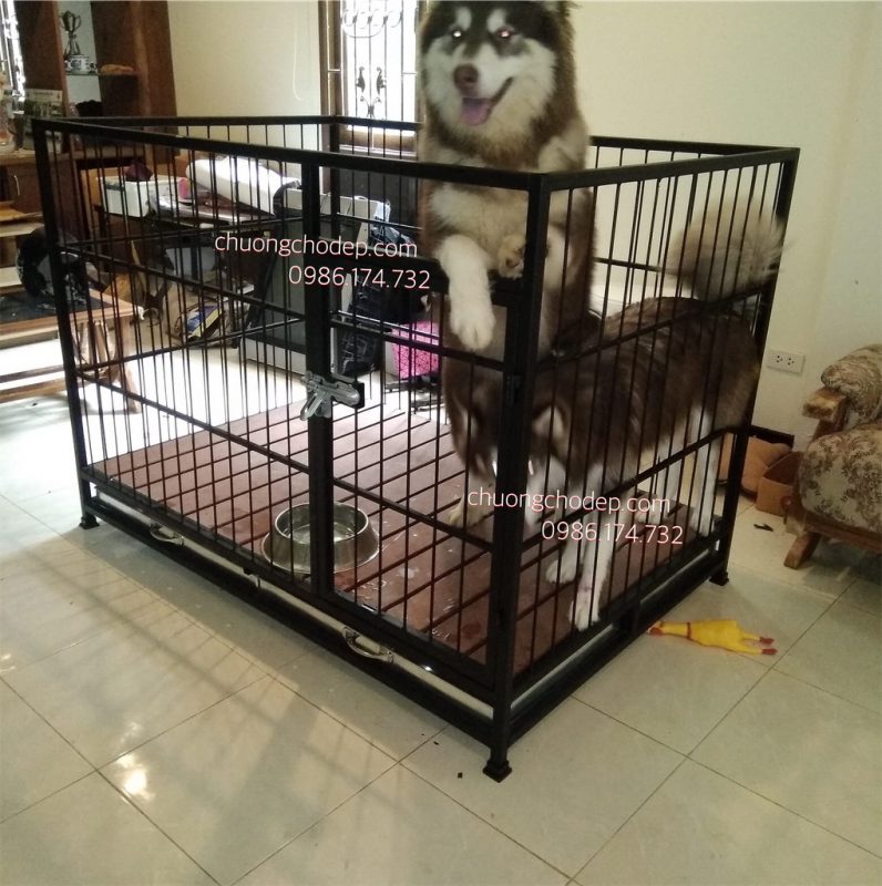 chuong-cho-sat-cho-alaska