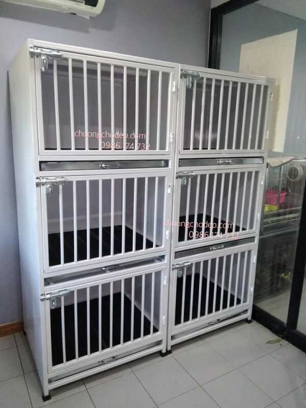 chuong-sat-mau-trang