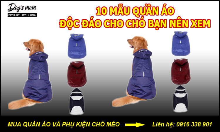 Hướng dẫn cách may quần áo cho thú cưng [20+ mẫu quần áo chó mèo đẹp]