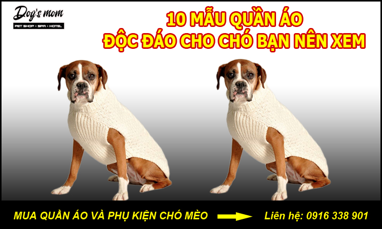 Hướng dẫn cách may quần áo cho thú cưng [20+ mẫu quần áo chó mèo đẹp]