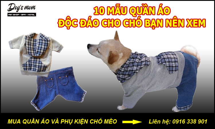 Hướng dẫn cách may quần áo cho thú cưng [20+ mẫu quần áo chó mèo đẹp]