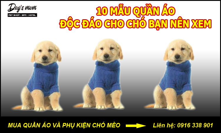 Hướng dẫn cách may quần áo cho thú cưng [20+ mẫu quần áo chó mèo đẹp]