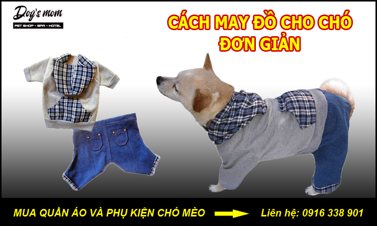 Hướng dẫn cách may quần áo cho thú cưng [20+ mẫu quần áo chó mèo đẹp]