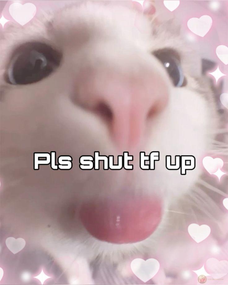 Mày vừa nói xong là tao mất niềm tin