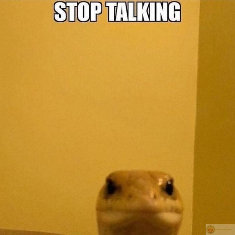 Câu nói của mày làm loãng luôn trí tuệ nhân tạo