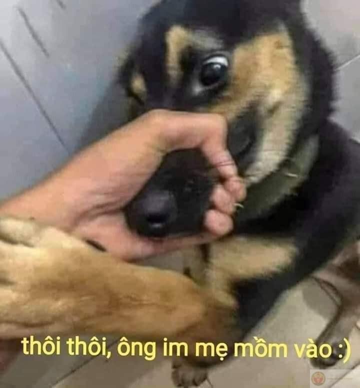 Im lặng đi, tao đang cần oxy sống