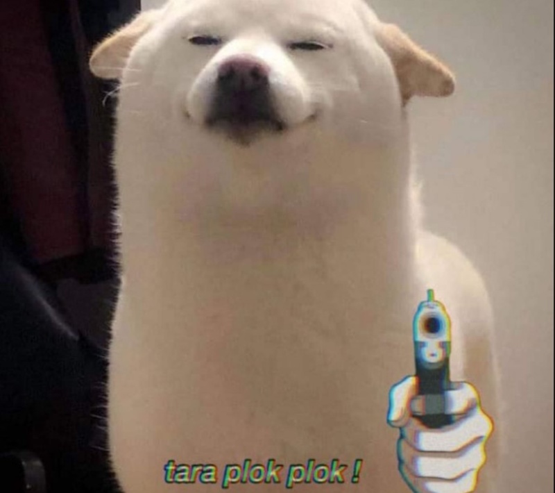 Meme Dog