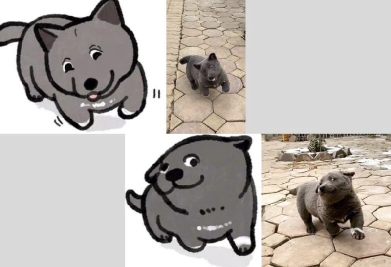 Con chó dễ thương meme