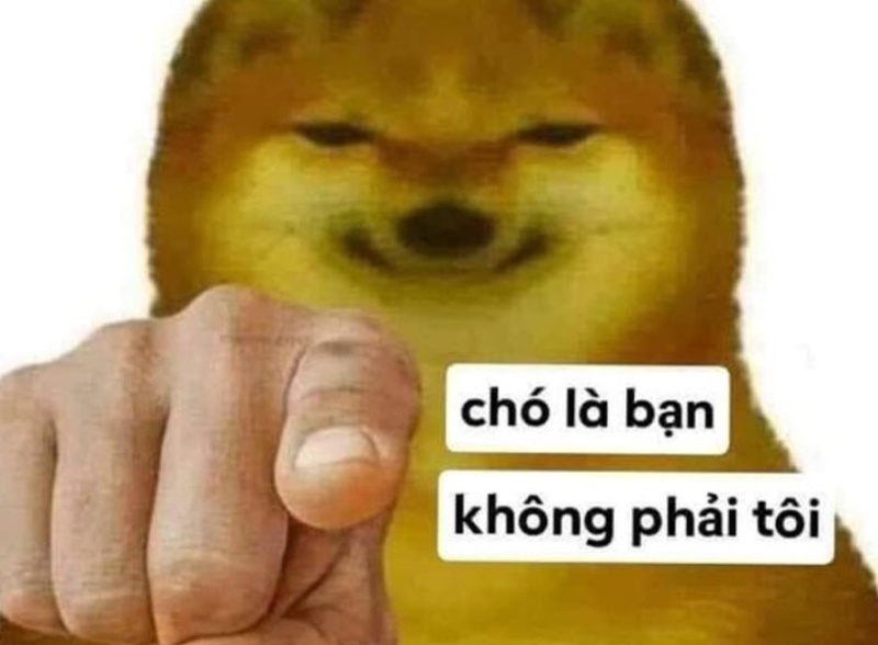Meme Dog cười
