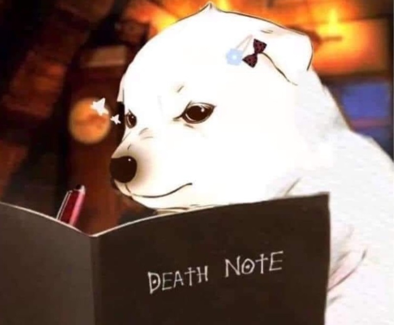 Con chó meme cười đẹp