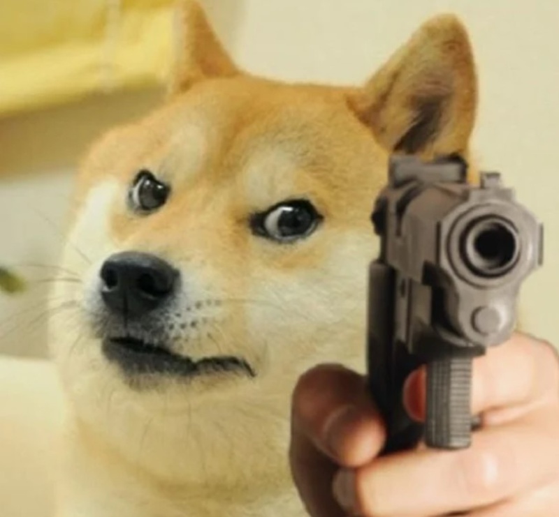 Những con chó meme hài hước