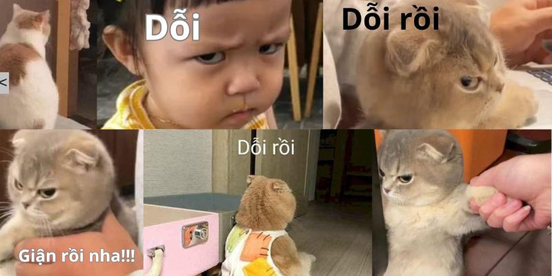 Khám phá loạt meme du lịch viral tại Anhnghethuatdulich.com