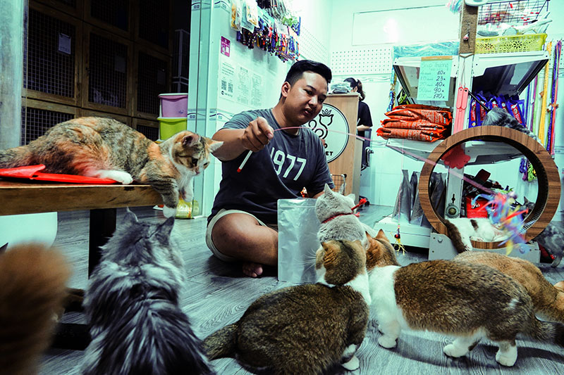 KINH TẾ 				 > Thị trường