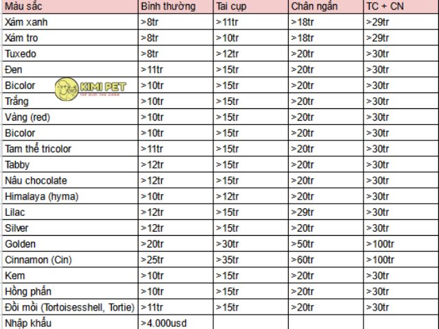 Bảng giá mèo Anh lông ngắn
