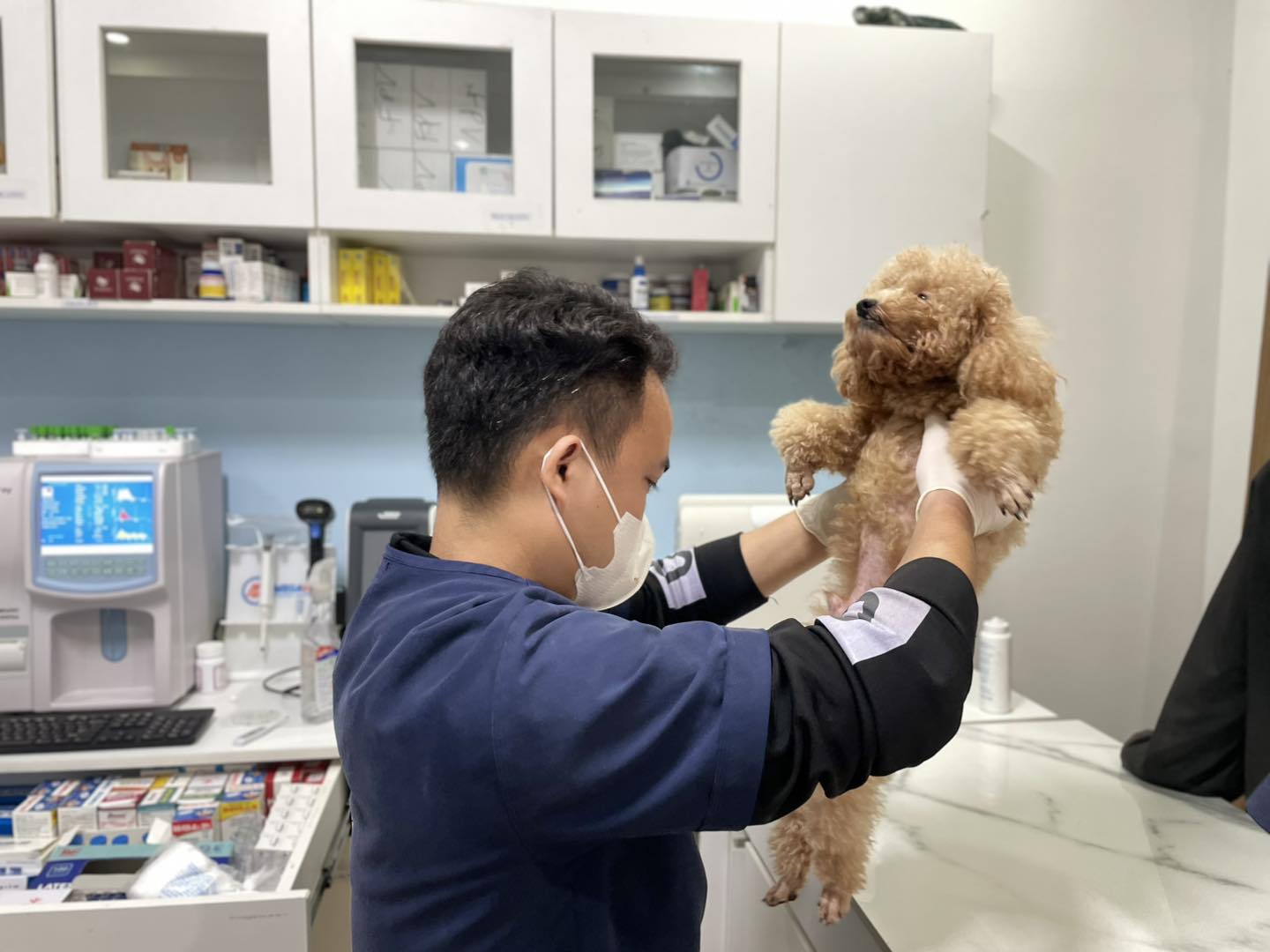 Dấu hiệu chó mèo bị bong gân