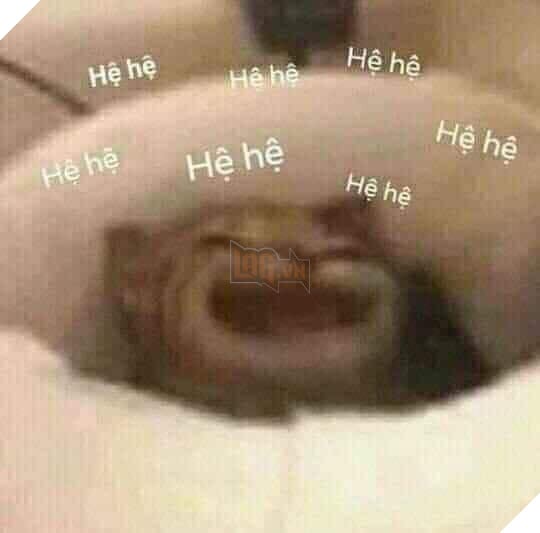 Chú mèo cười hệ hệ hệ hệ hệ