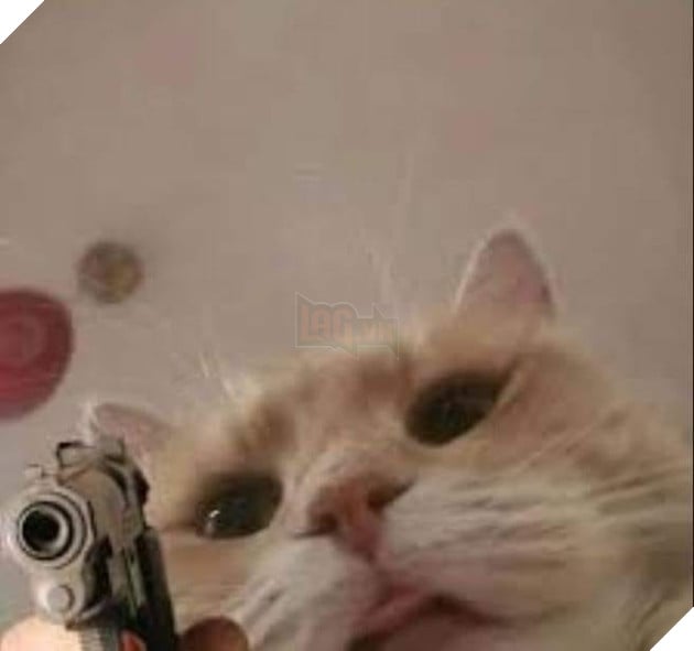 Mèo cầm súng ngắn chĩa vào camera