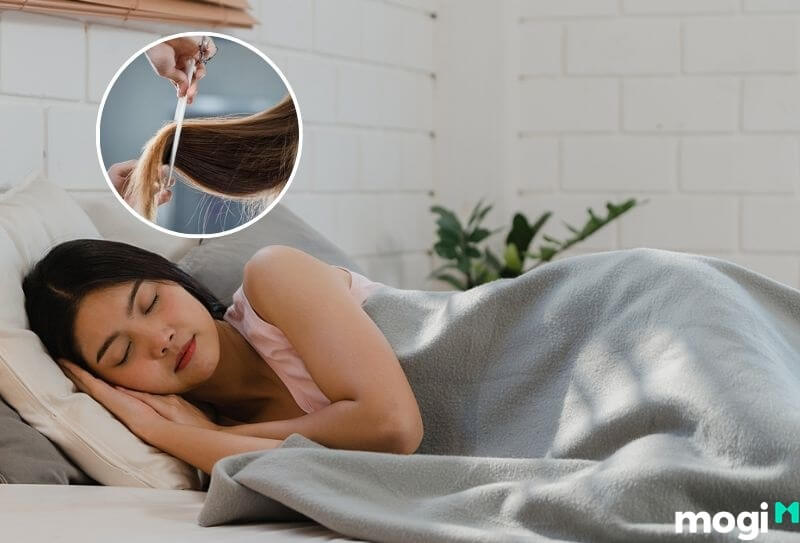 Nằm Mơ Thấy Cắt Tóc Là Điềm Gì? Lành Hay Dữ? Con Số May Mắn
