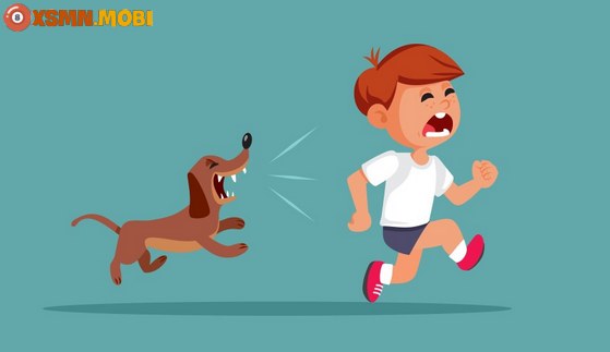Mơ thấy bị chó đuổi có phải là điềm không may mắn?