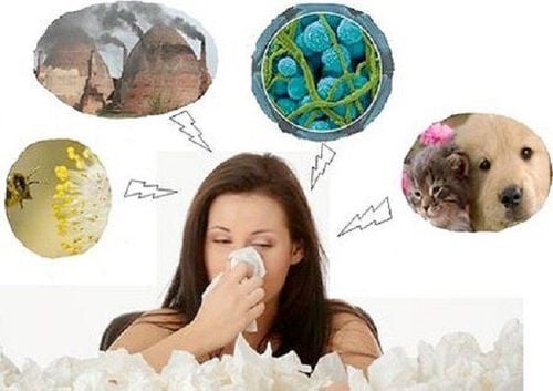 Ngứa họng, ho khan lâu ngày, trị thế nào?